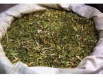 GREEN MATE - CO SPRAWIA, ŻE JEST WYJĄTKOWA?